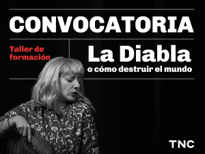 Gráfica de difusión del taller