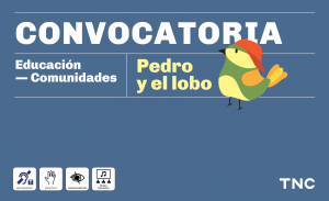 Gráfica de difusión de la convocatoria