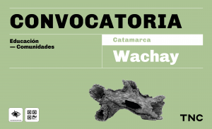 Sobre fondo verde se lee: Convocatoria. Educación. Comunidades. Hacia la derecha, en letras blancas: Catamarca. Wachay. Debajo, hay una rama de árbol de corte irregular, veteada y gris con partes ahuecadas en sus extremos y una mancha negra en el frente. En el margen inferior están los pictogramas de audiodescripción y de código QR. En el ángulo derecho, aparecen las letras TNC de Teatro Nacional Cervantes.