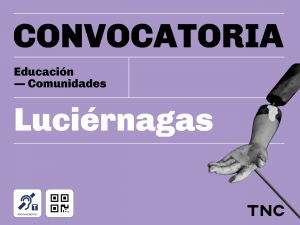 Convocatoria. Educación. Comunidades. Luciérnagas. Hacia el ángulo derecho, se asoma la parte de un títere, un brazo de madera sostenido desde una varilla. Sobre el margen inferior izquierdo, están los pictogramas de aro magnético y código QR. Hacia la esquina opuesta, aparecen las letras TNC de Teatro Nacional Cervantes.