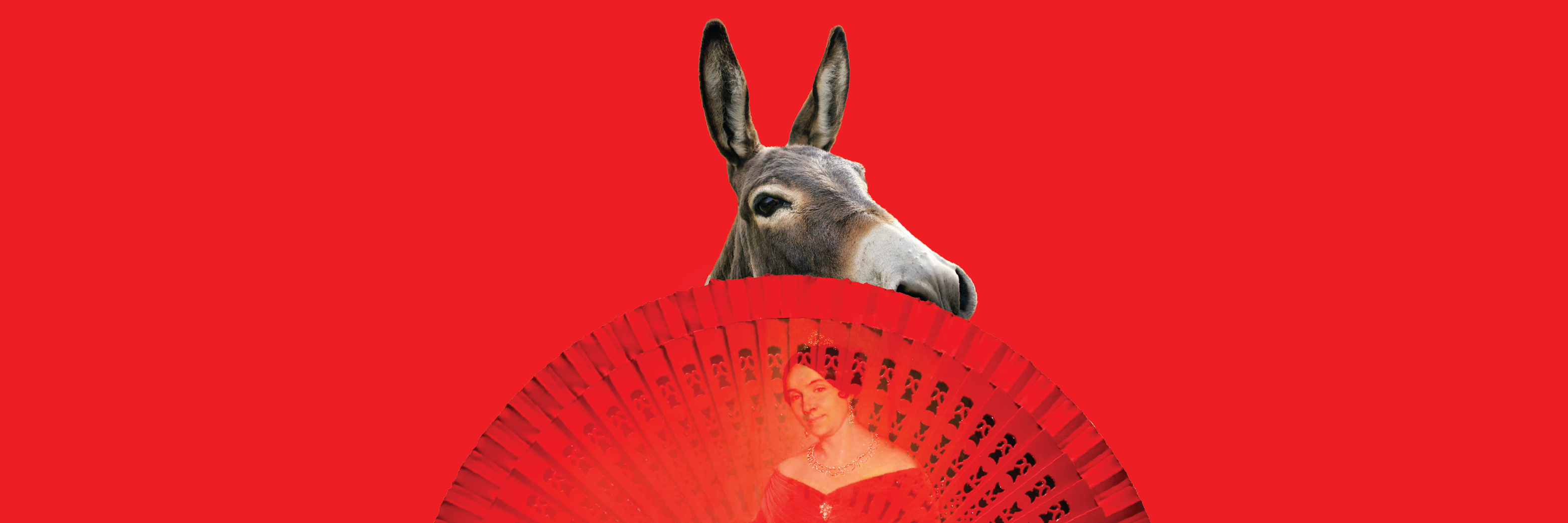 El retrato punzó