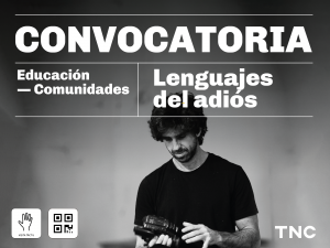 Gráfica de difusión de la convocatoria de grupos de Lenguajes del Adiós