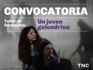 En letras blancas se lee: Convocatoria. Taller de formación. En tono violeta se destaca el título "Un joven golondrina". En el centro, una chica de pelo largo ondulado y rojizo, observa preocupada hacia el costado derecho. Debajo, otra joven de cabello oscuro mira hacia la misma dirección, con el ceño fruncido. De fondo, se vislumbran proyecciones en una pared, de hombres encorvados que sostienen lazos en medio de un campo neblinoso. En el borde inferior derecho, aparecen las letras TNC de Teatro Nacional Cervantes.
