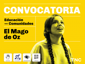 Sobre un fondo amarillo se lee: Convocatoria. Educación. Comunidades. El Mago de Oz. En el lateral derecho, se destaca la imagen de una joven peinada con dos trenzas, boquiabierta, con mirada fija hacia arriba y expresión de asombro. Ella viste un buzo claro. En el margen inferior se distinguen los pictogramas de visita táctil, aro magnético, audiodescripción y código QR. En el ángulo derecho, aparecen las letras TNC de Teatro Nacional Cervantes.