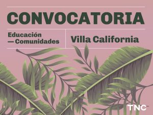 Sobre un fondo rosa, en letras verde oscuro, se lee “CONVOCATORIA. Educación — Comunidades. Villa California. En la parte inferior, una ilustración de grandes hojas y ramas verdes y violetas ocupa toda la composición. En la esquina inferior derecha aparece el logo TNC.